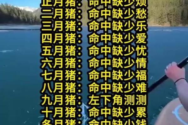 浮云遮日代表什么生肖(浮云遮日代表什么生肖呢)