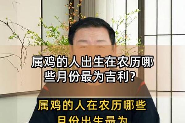 属鸡的男孩几月出生好 属鸡男孩生在几月份好