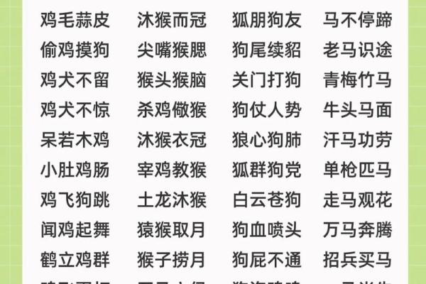龟鹤之年指的是什么生肖，着个成语的动物象征含义解析
