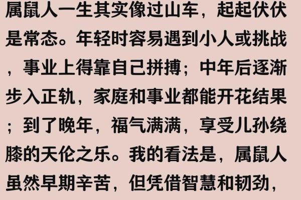 2025年属鼠人的财运健康事业感情四大运势全面解析