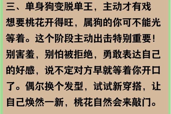 1982年出生属狗女性2025年每月运程如何？应注意哪些事项