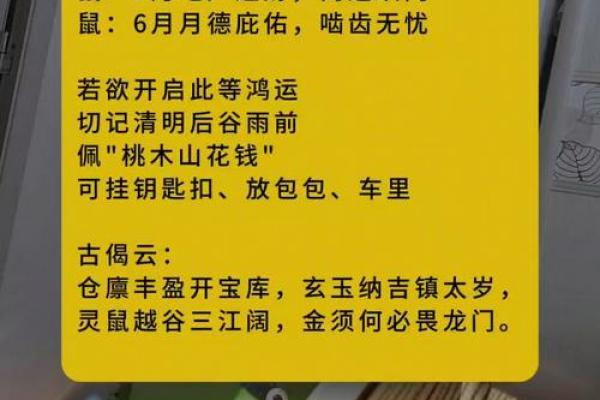 属鼠的人2025年整体运势如何财运方面会有大的突破吗