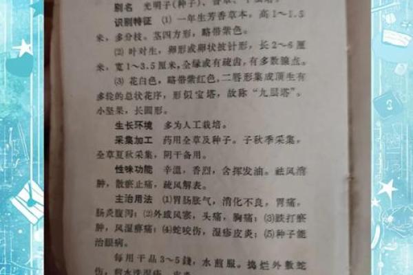 愤世嫉俗的人通常对应哪个生肖的性格特征解析