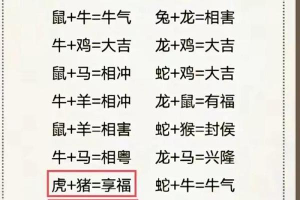 牛和虎属相合不合婚姻 女属虎男属虎婚姻相配吗