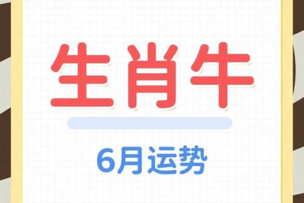 属牛出生几月最好 属牛的几月出生最好2021