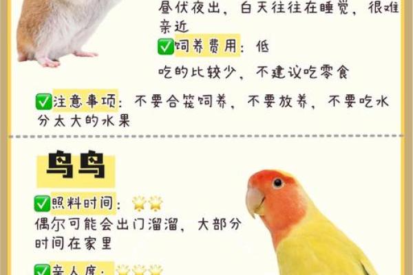 如何根据地区气候特点选择适宜的生肖宠物进行饲养？