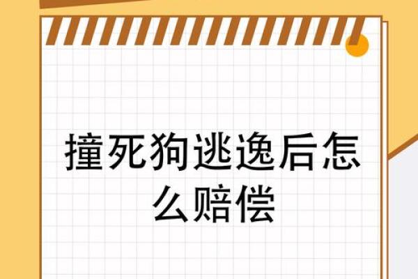 ‌知情不报是什么生肖 → 狗‌（犬守秘密，默不作声）