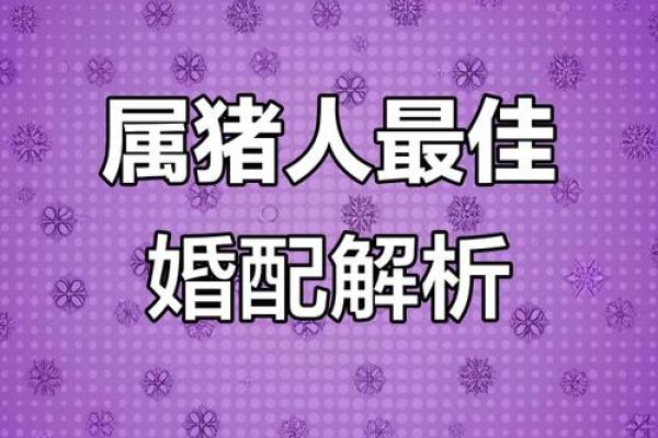 属猪女不能和什么属相在一起 属猪女不能和什么属相在一起呢
