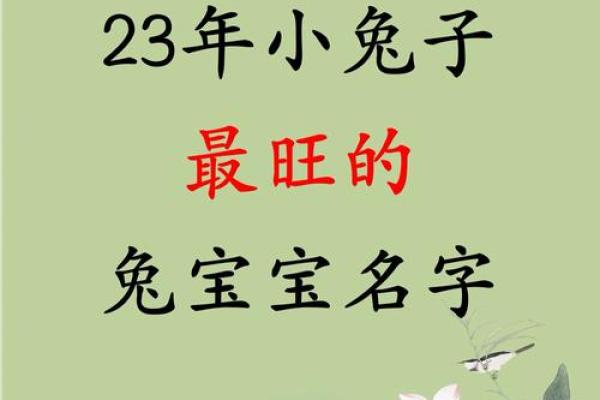 属兔最怕几月出生 2023属兔几月出生最好旺父母