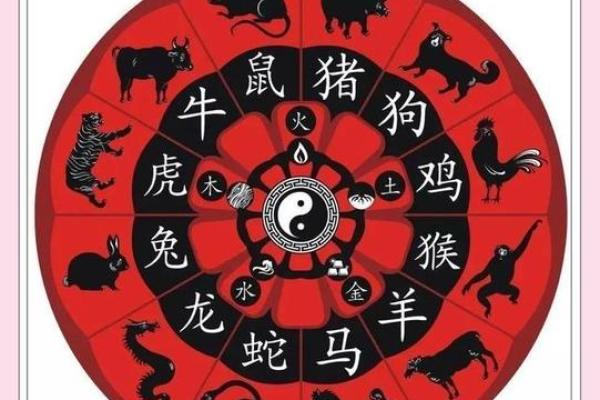 属鼠人出生月的命运 十鼠九苦几月鼠最苦