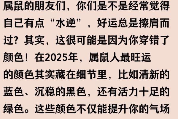 2025年属鼠人财运事业运势分析与提升建议