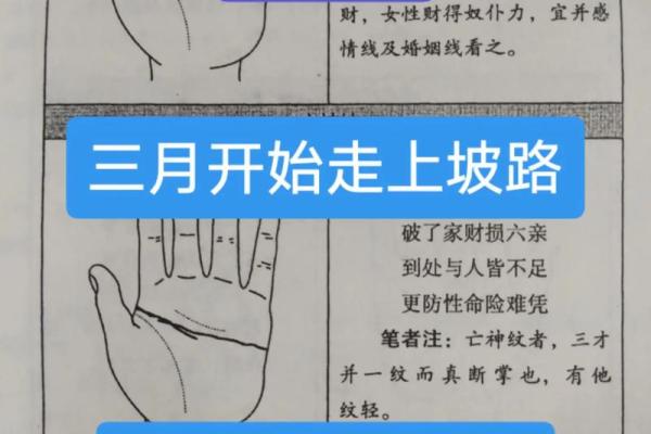 羊和什么属相最配对 91羊女和什么属相最配 羊和什么属相最配对 91羊女和什么属相最配