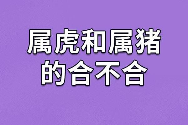 属猪跟属猪的合不合 属猪跟属猪的合不合婚姻
