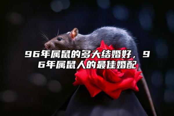 96年出生的属鼠人和什么属相最合得来,在一起会幸福长久? 96年出生的属鼠人和什么属相最合得来,在一起会幸福长久?