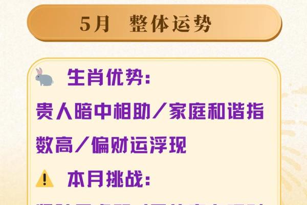 属兔2016年运势及运程详解 属兔2016年运势完整版
