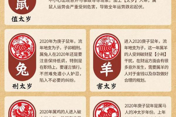2020属鼠几月出生最好 2020年属鼠的几月出生好