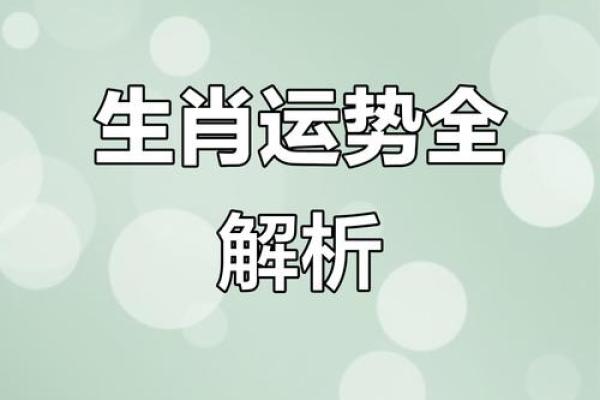 2019年运势最好的生肖 2019年运势12生肖运势每月运程祥云阁