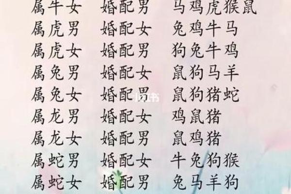 虎女与鼠男的属相合不合 虎女和鼠男的属相适合做夫妻吗