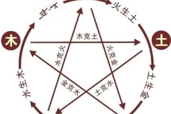 请问08年出生的孩子是火鼠命还是水鼠命?五行属性怎么查询? 请问08年出生的孩子是火鼠命还是水鼠命?五行属性怎么查询?
