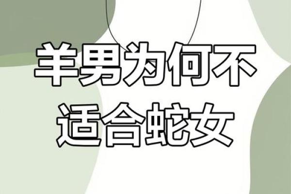 男龙女羊的属相合不合 男龙女羊的属相合不合,生的孩子属羊