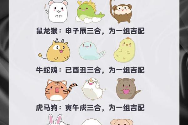 名列前茅是什么生肖 十二生肖名列前茅是什么动物