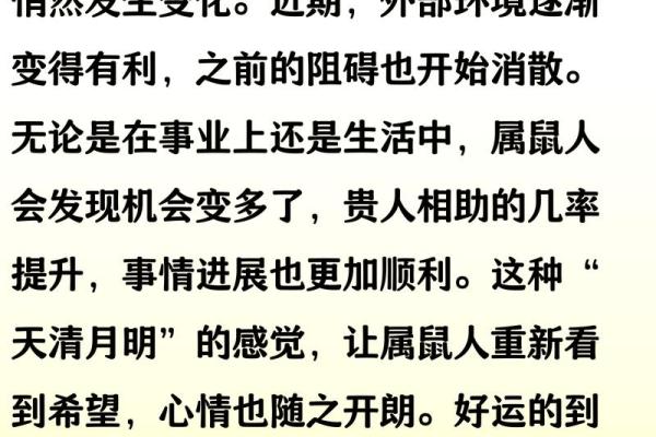 72年属鼠男2024年全年运势如何？健康财运要注意什么