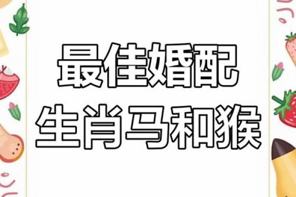 女马和男马属相合不合 男马和女马能不能结婚