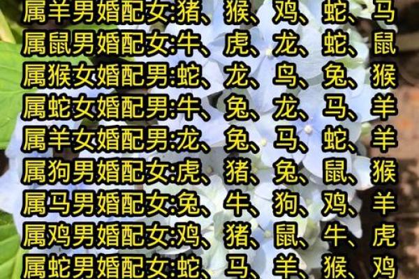 属相婚配中鼠女与虎男结合会不会经常吵架闹矛盾？