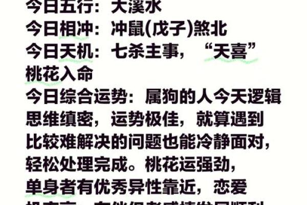 2025年属狗人全年运势详解，事业财运健康感情全面解析
