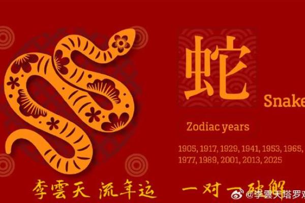出生于2001年属蛇人2025年多少岁了 2001年属蛇人2025年运势如何