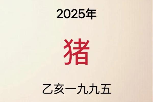 2025属猪的大忌颜色 2021年属猪大忌颜色