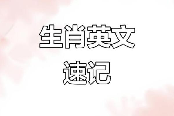 十二生肖中哪个动物代表英明果断？解读其象征意义与性格特点