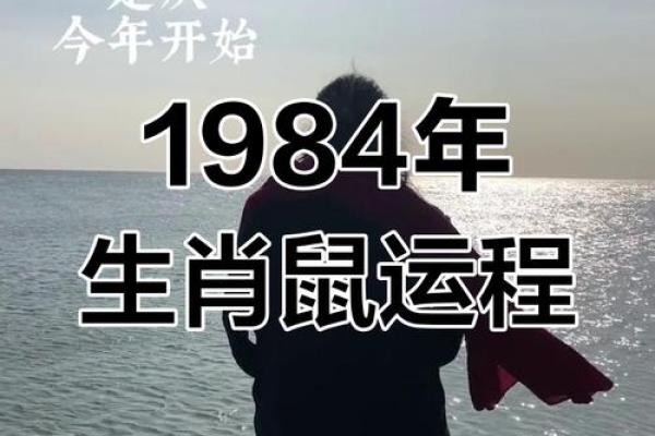 1984年属鼠的人一生运势如何，哪几年需要特别注意？