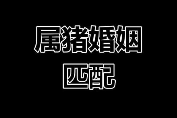 1983属猪最佳婚配 1983属猪婚配1995