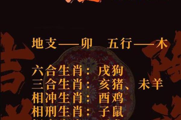 属鼠和属猪的合不合财运 鼠和鼠合不合