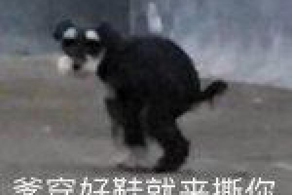万古长青打一生肖