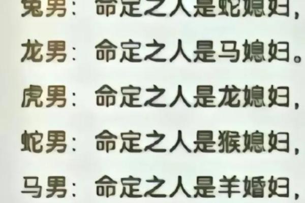 女龙男马属相合不合 男马配女龙属几等婚