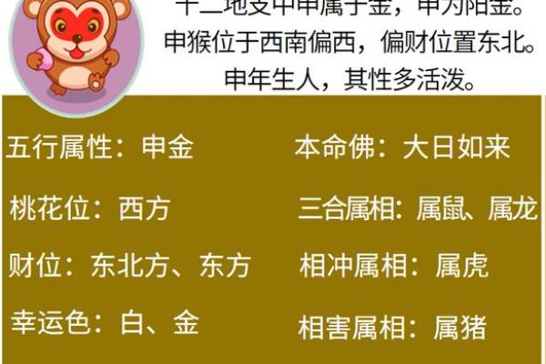 一举成名天下闻打一准确生肖(一举成名的最佳生肖)