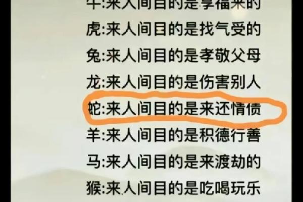 疯子是特马猜一生肖(疯子是特马猜一生肖正确答案蛇)