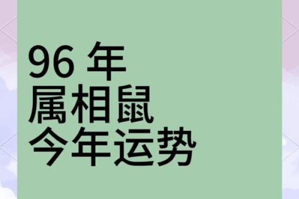 1984年属鼠男2025年运势详解，婚姻感情会有新的转机吗