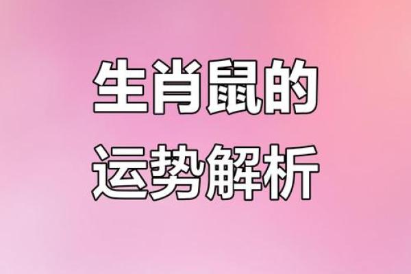 2008年属鼠女性格特点及婚姻感情运势详细分析大全