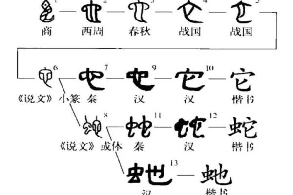 ‌历历在目是什么生肖 → 蛇（蛇目如炬，历历分明）‌