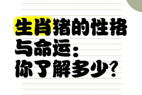 属猪几月出生的人命最好 属猪几月出生的人命最好男