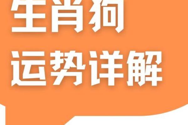 2025年属狗人士在装修中应避免使用哪些颜色？
