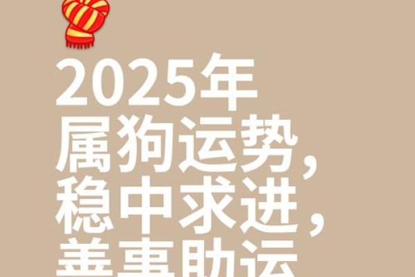 2025年属狗人全年运势如何？82年出生者需注意哪些关键月份