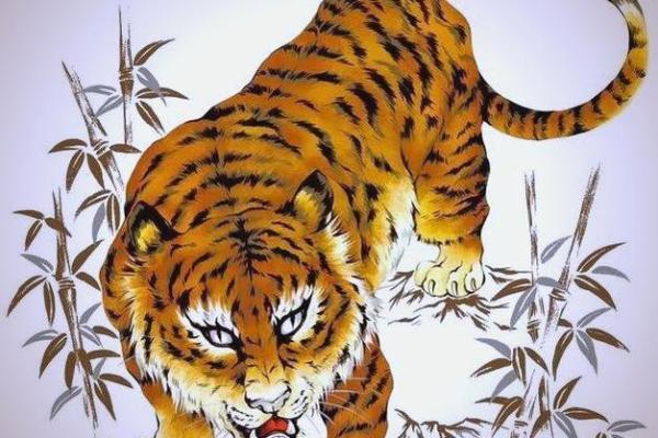 1986年属虎一生三大劫难 86年属虎的三大劫难算命网