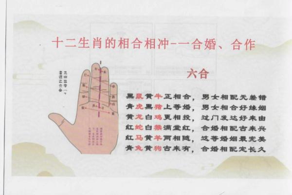 莘莘学子代表的生肖寓意解析：为何常被用来形容学生群体？