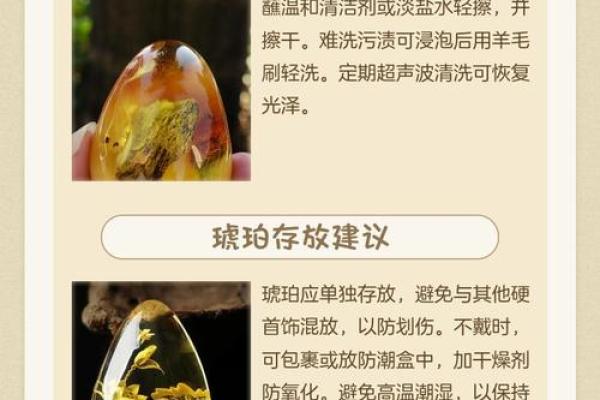 琥珀最忌三种属相 琥珀适合什么属相人戴