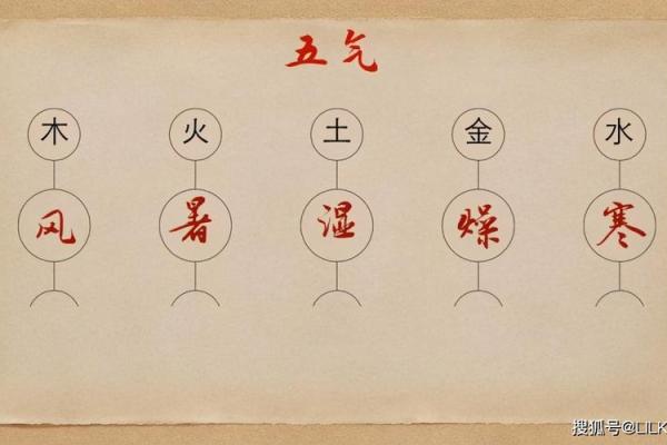四季如春指的是哪个生肖？着个生肖的性格特点和运势如何解析