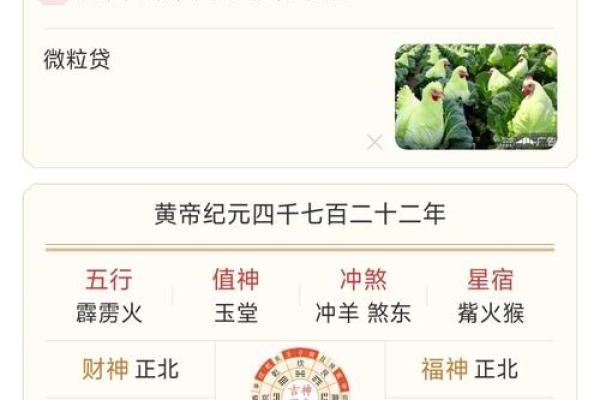 2022年属啥年 2022年是属火还是木